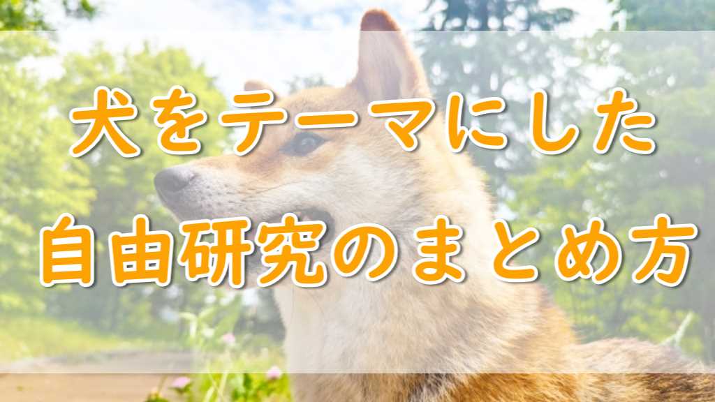 自由研究犬まとめ方