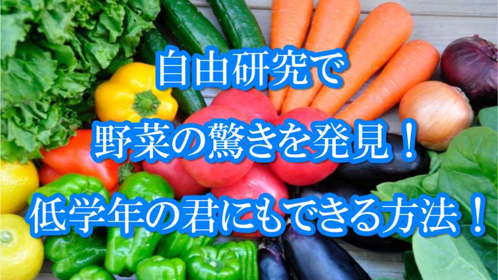 自由研究野菜低学年